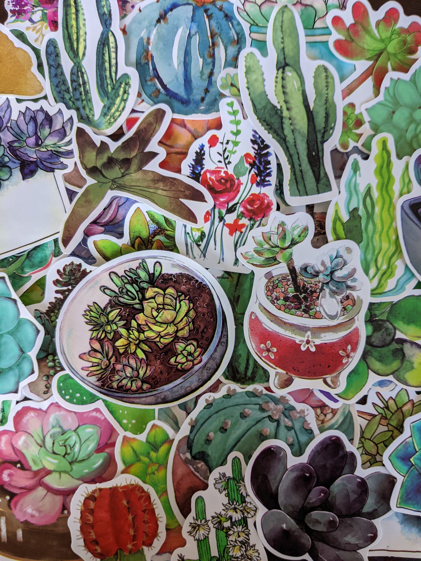 Succulent Sticker Pack