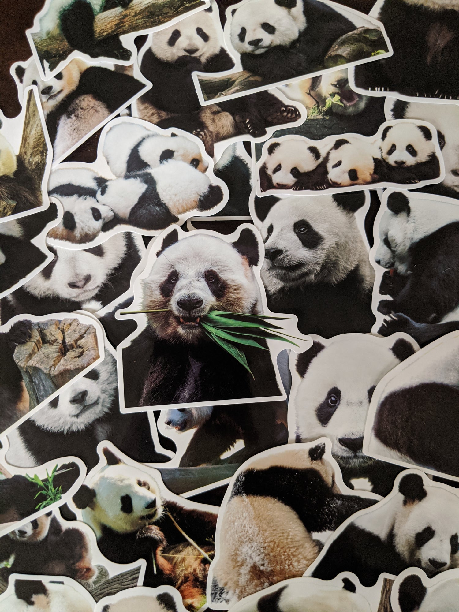 Animal Sticker Packs