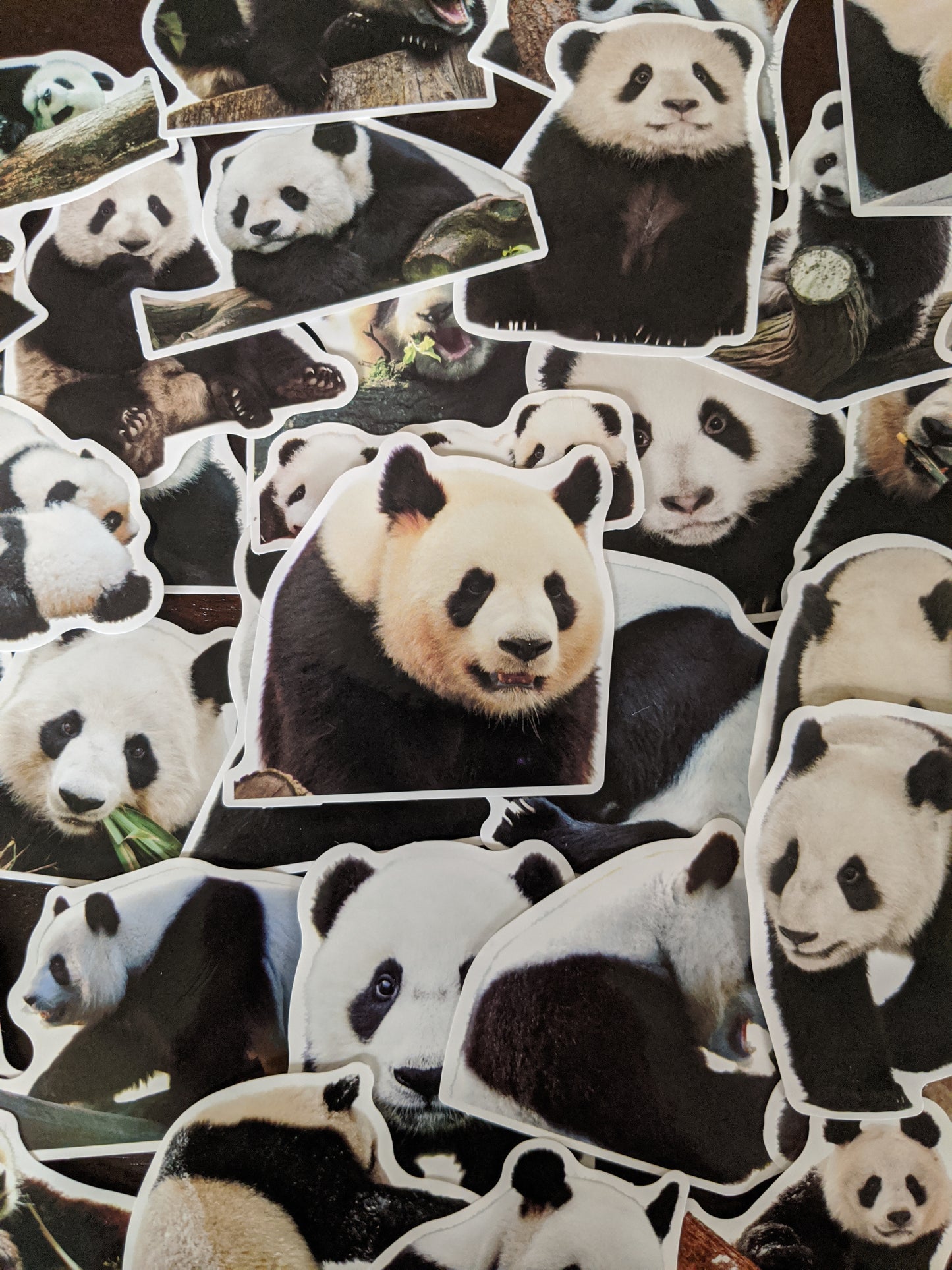 Panda Sticker Pack