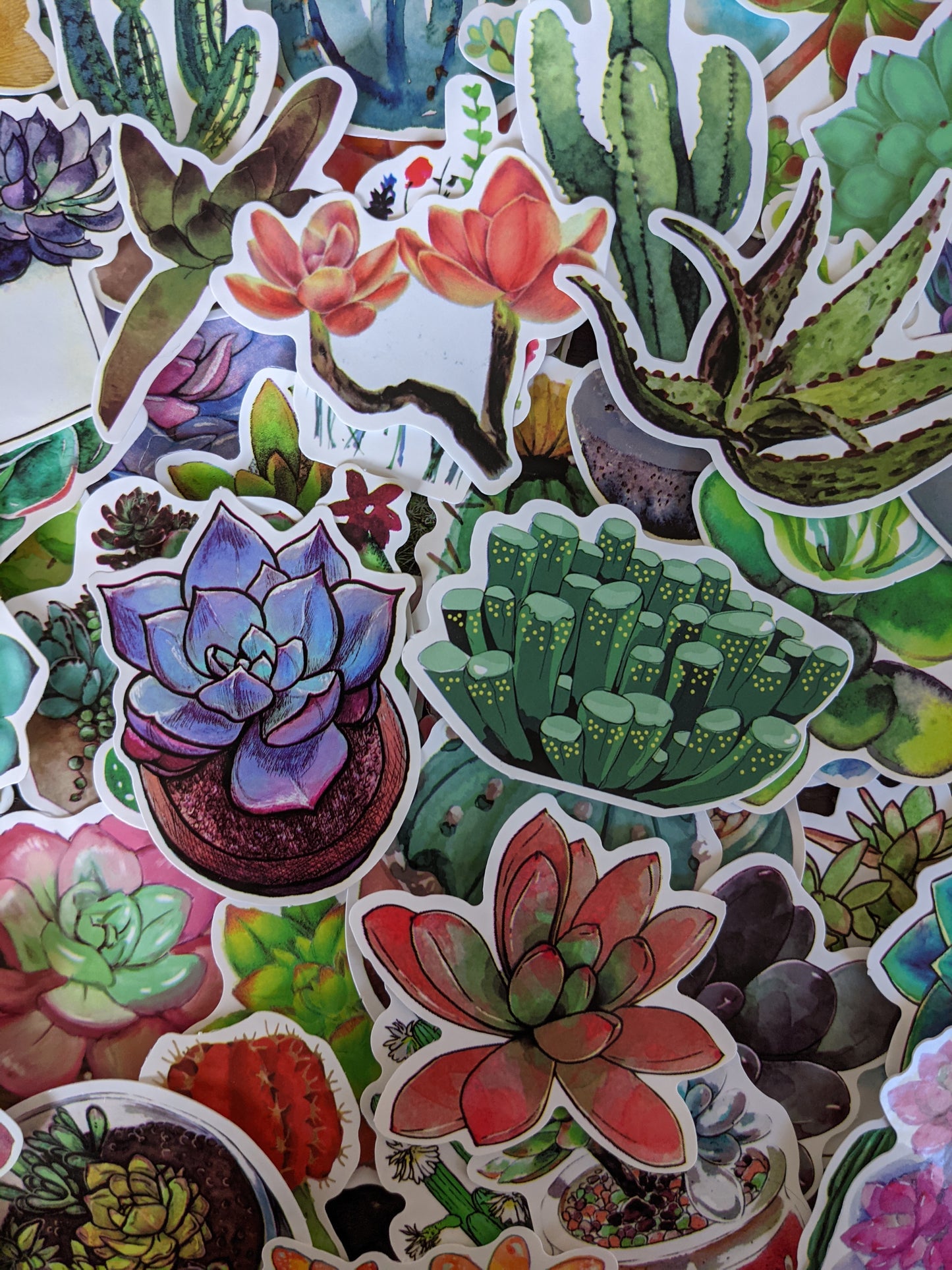 Succulent Sticker Pack