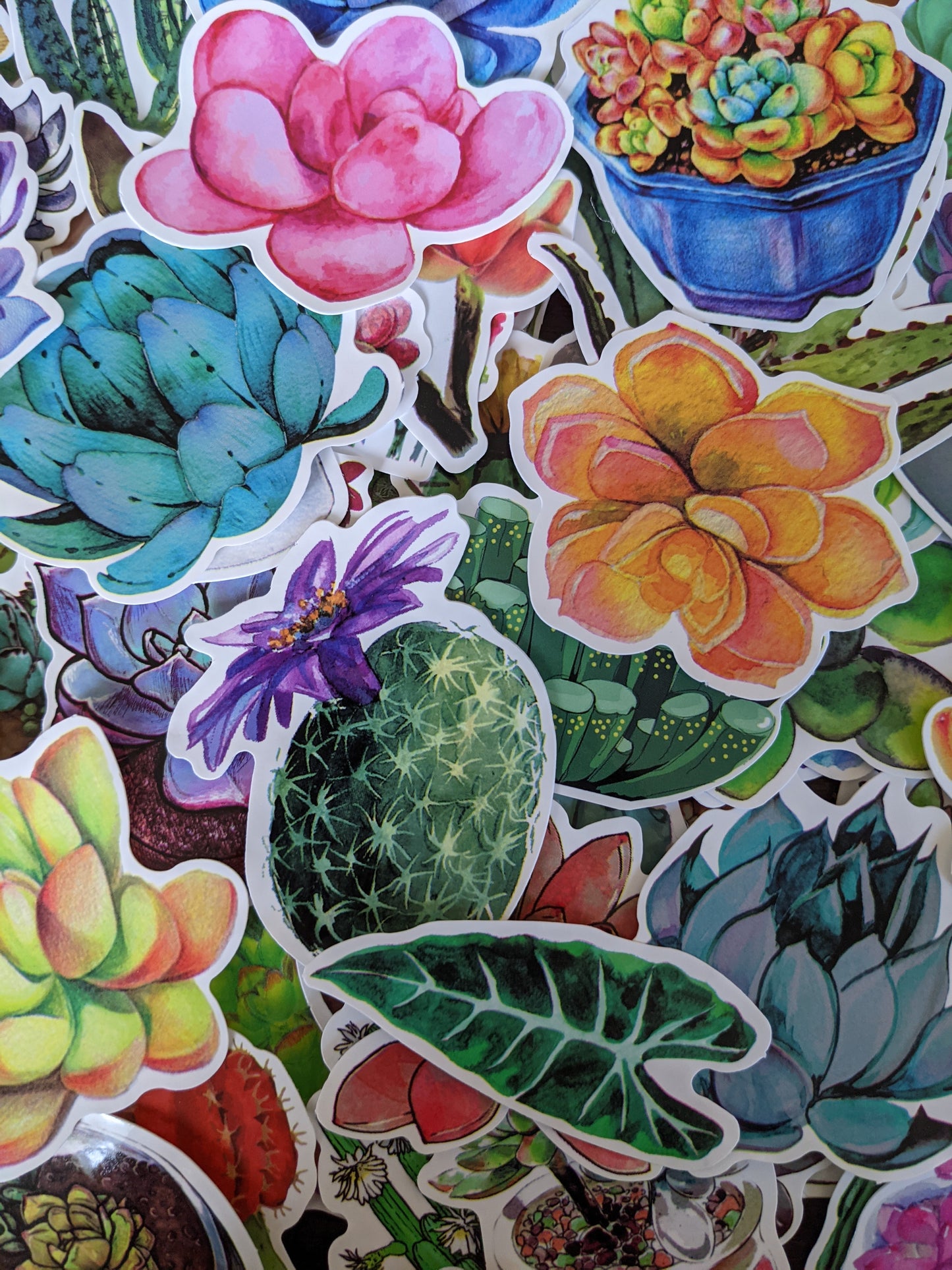 Succulent Sticker Pack